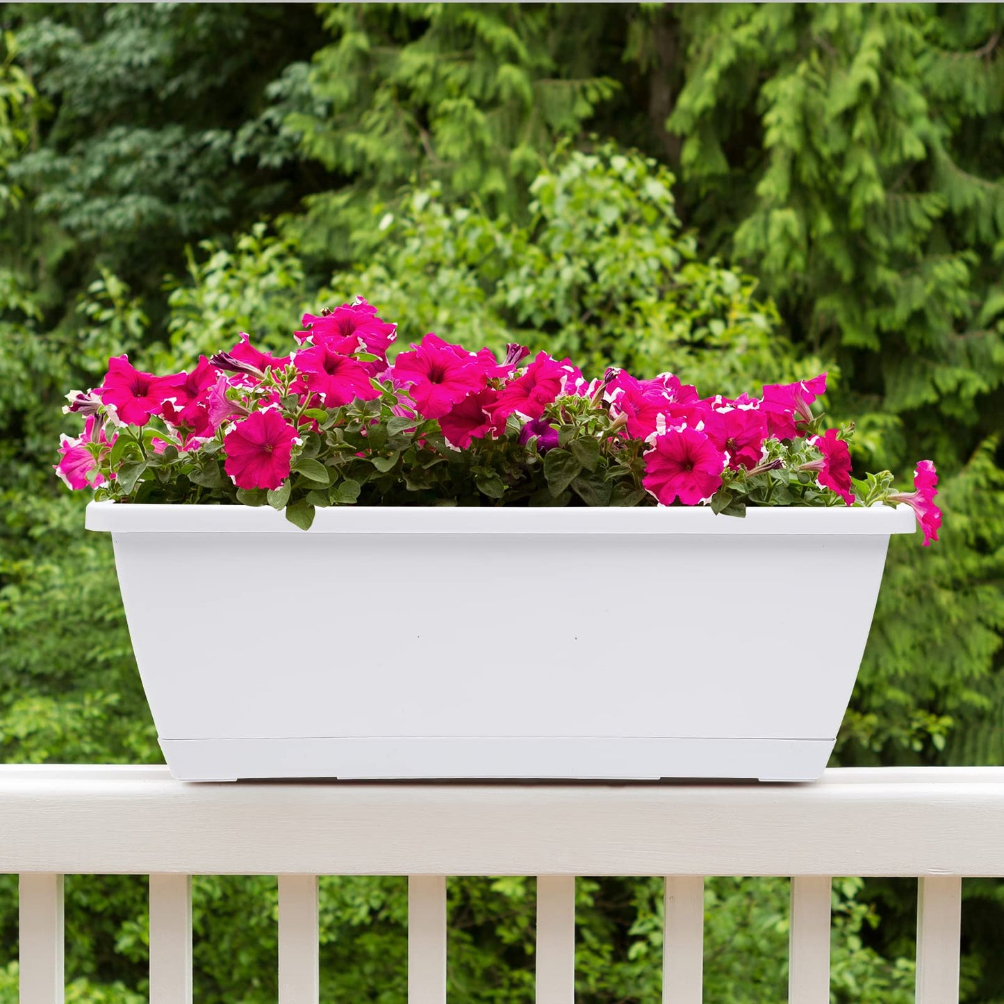 Rechteckiger Blumenkasten