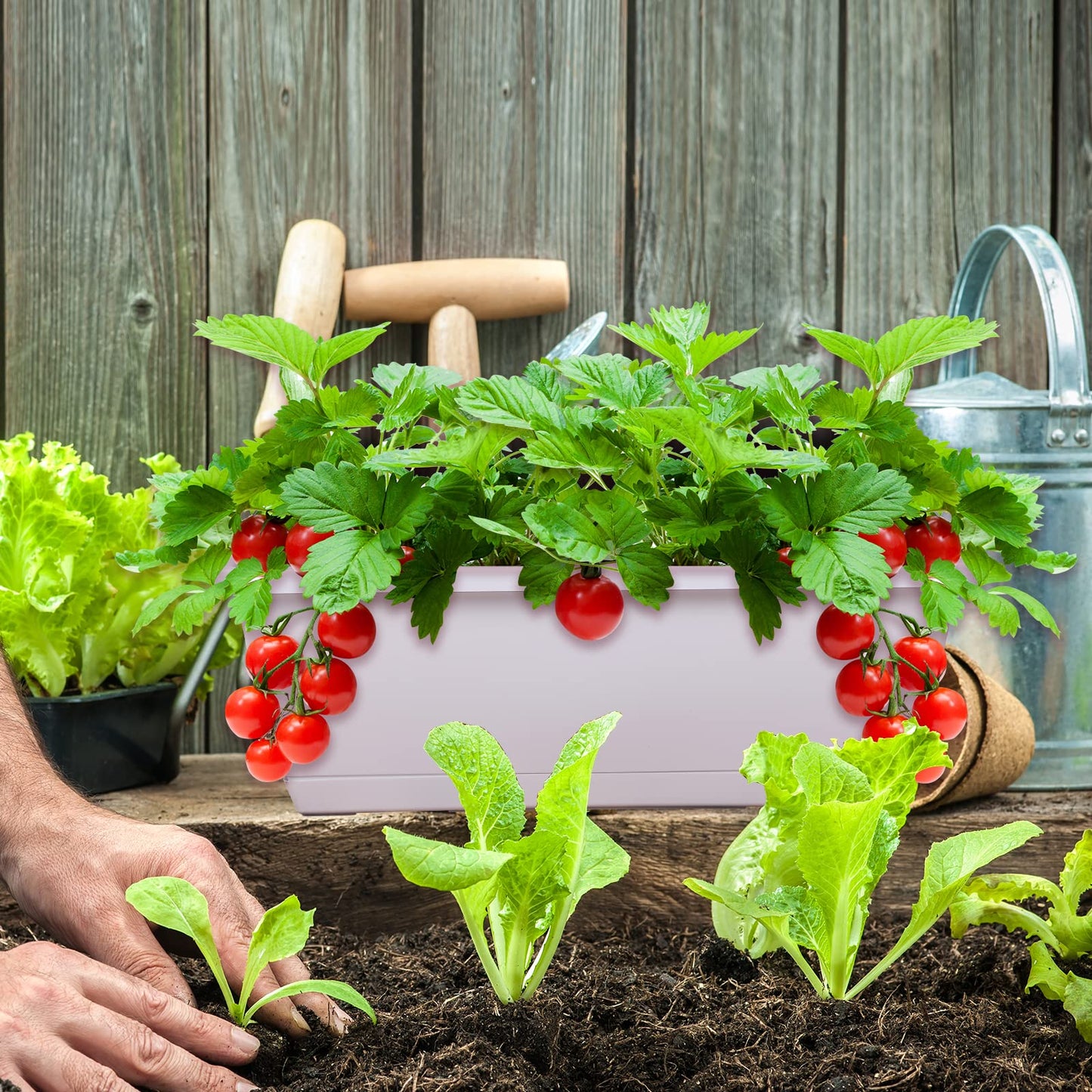 Rechteckiger Blumenkasten