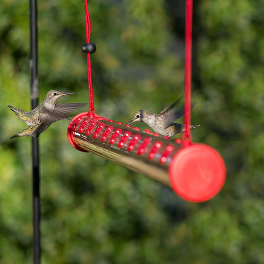 Bobs Bester Kolibri-Futterspender