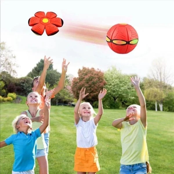 Haustier-Fliegende-Untertasse-Ball