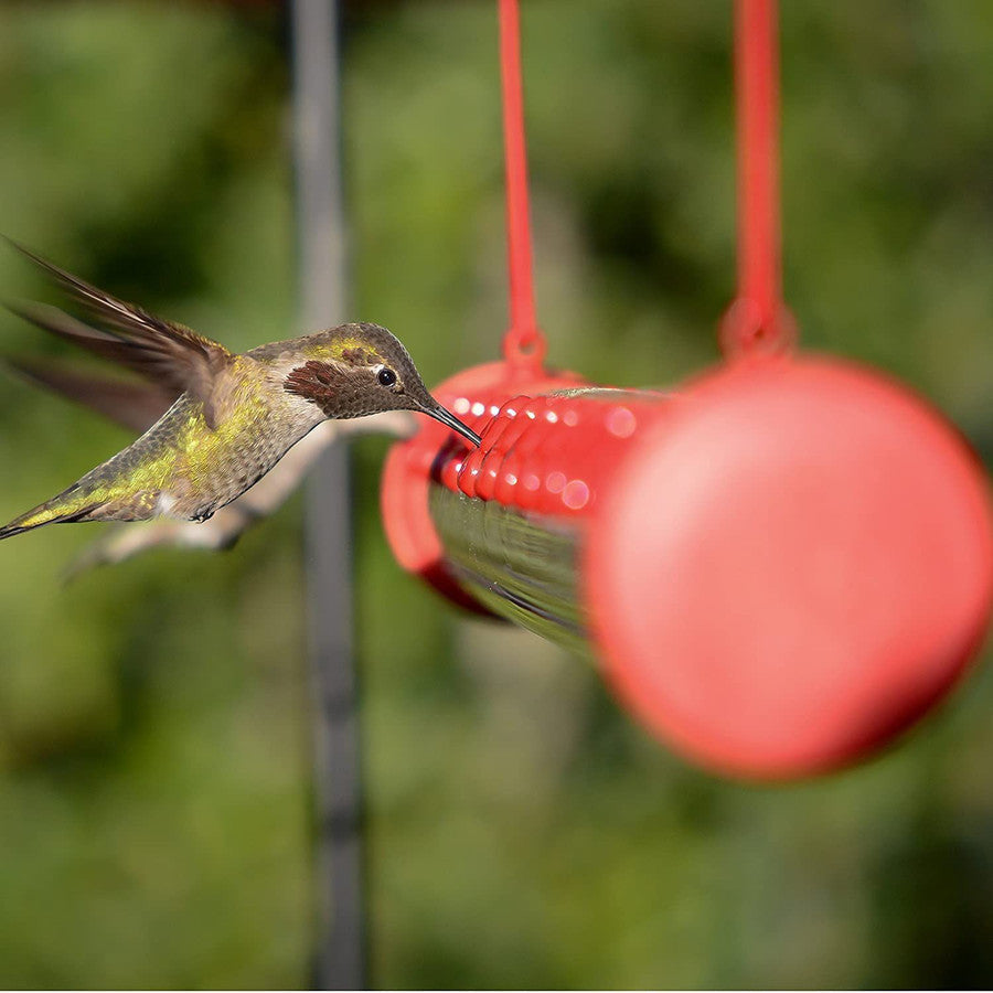 Bobs Bester Kolibri-Futterspender