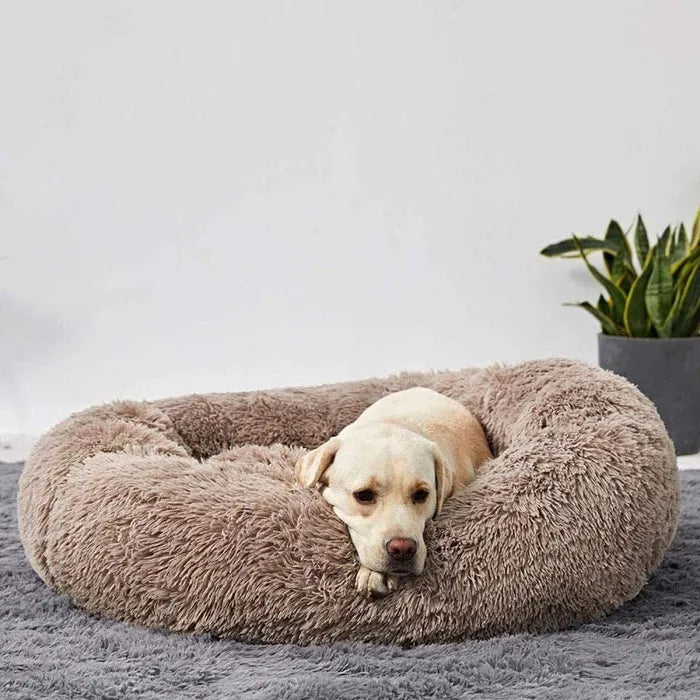 PetsBoro™ Kuschelbett