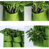 Hanging Vertical Wall Mounted Plant Planting Grow Bags