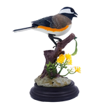 Vueeze™ ChirpBird