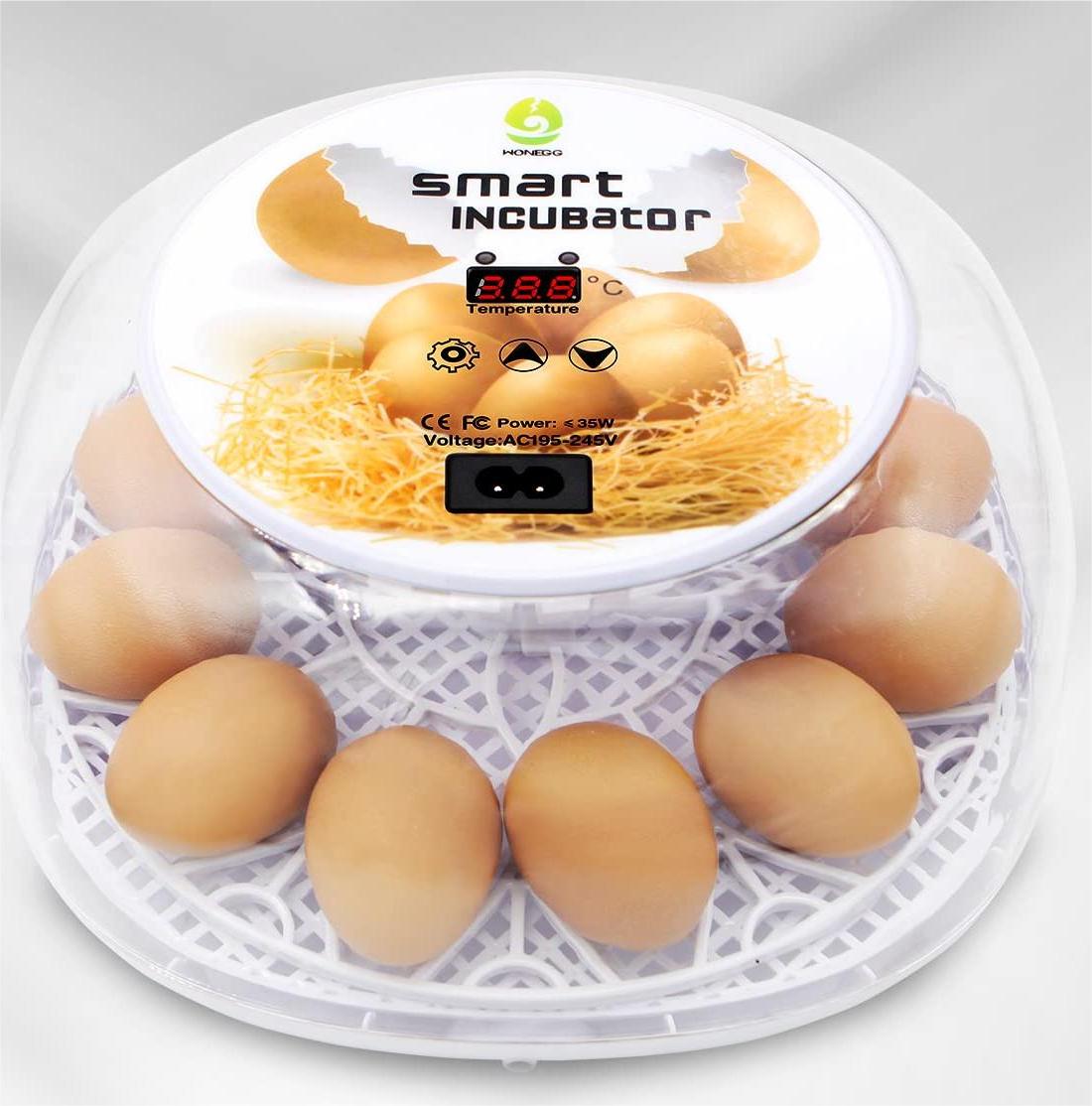 Incubateur d'œufs intelligent Sherem