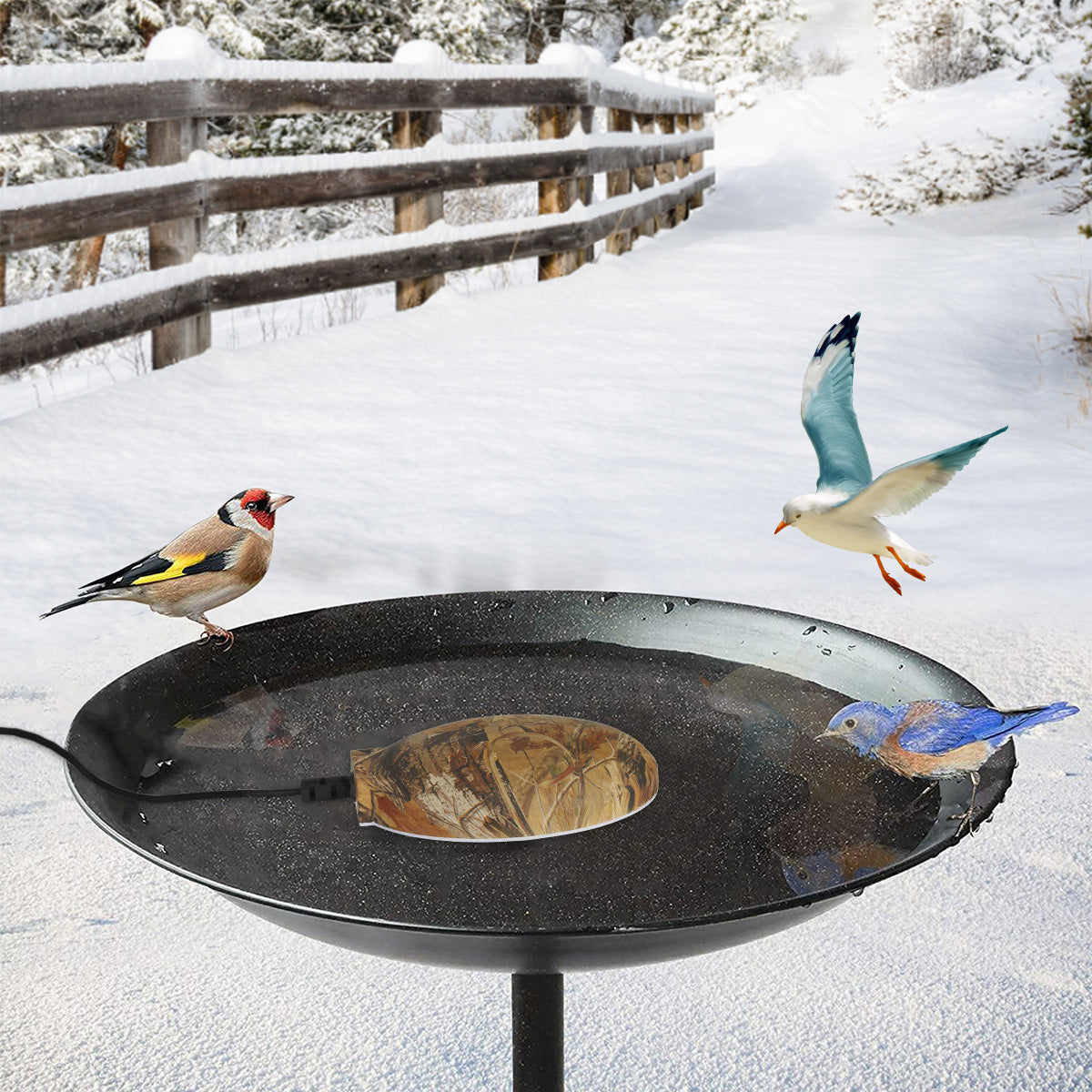 Upgrade Bird Bath Heater for Outdoors
