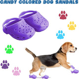 2022 Dog Crocs for Small Dogs