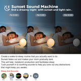Sunlight Alarm Clock Radio with Sound Machine for Heavy Sleeper