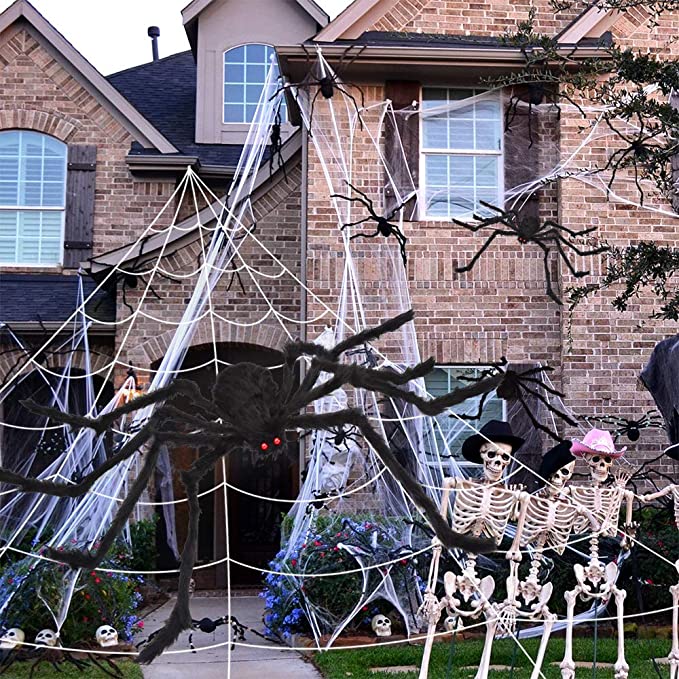 Halloween decoration cobweb and spider