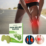 Eelhoe Pain Relief Patches boxes