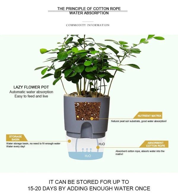 Self Watering Plant Pot